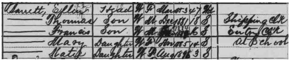 Census 1900