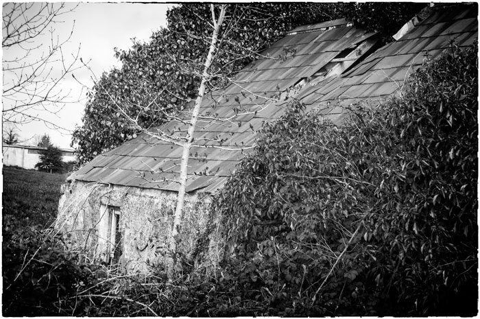 Coughlin family home, now abandoned