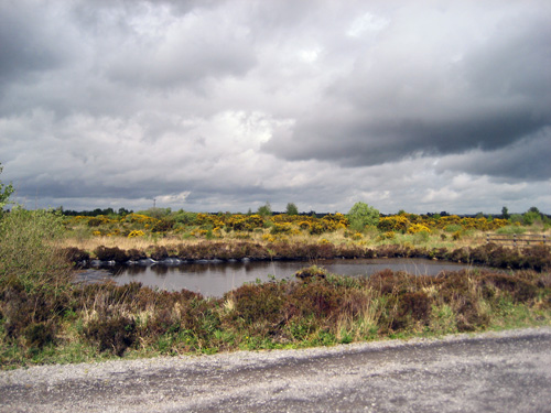 Bog, Keenagh, Co Longford Ireland