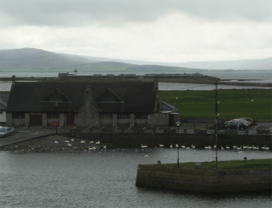 swans of Claddagh, Galway City Ireland