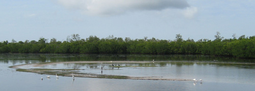 Sanibel Island