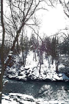 snowy creekside