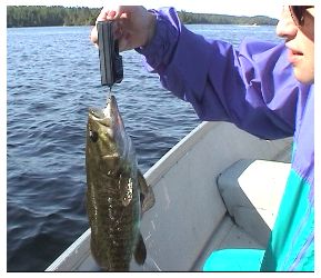 stella and her fish, Christie Lake, Ontario