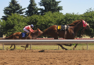 Finger Lakes Race Track
