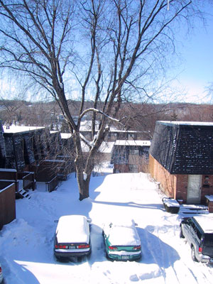 Snow in Rochester NY